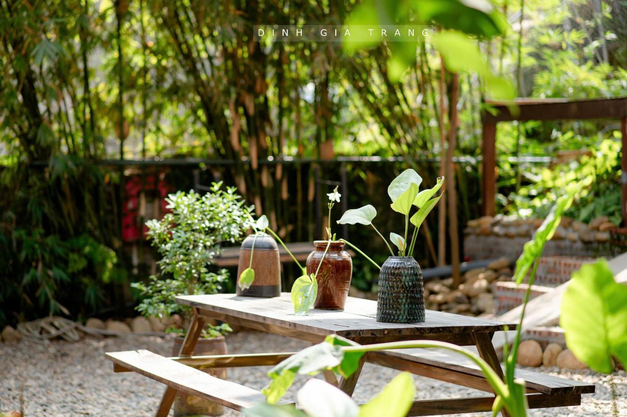 Dinh Gia Trang - Homestay & Coffee The Ruong Exterior photo