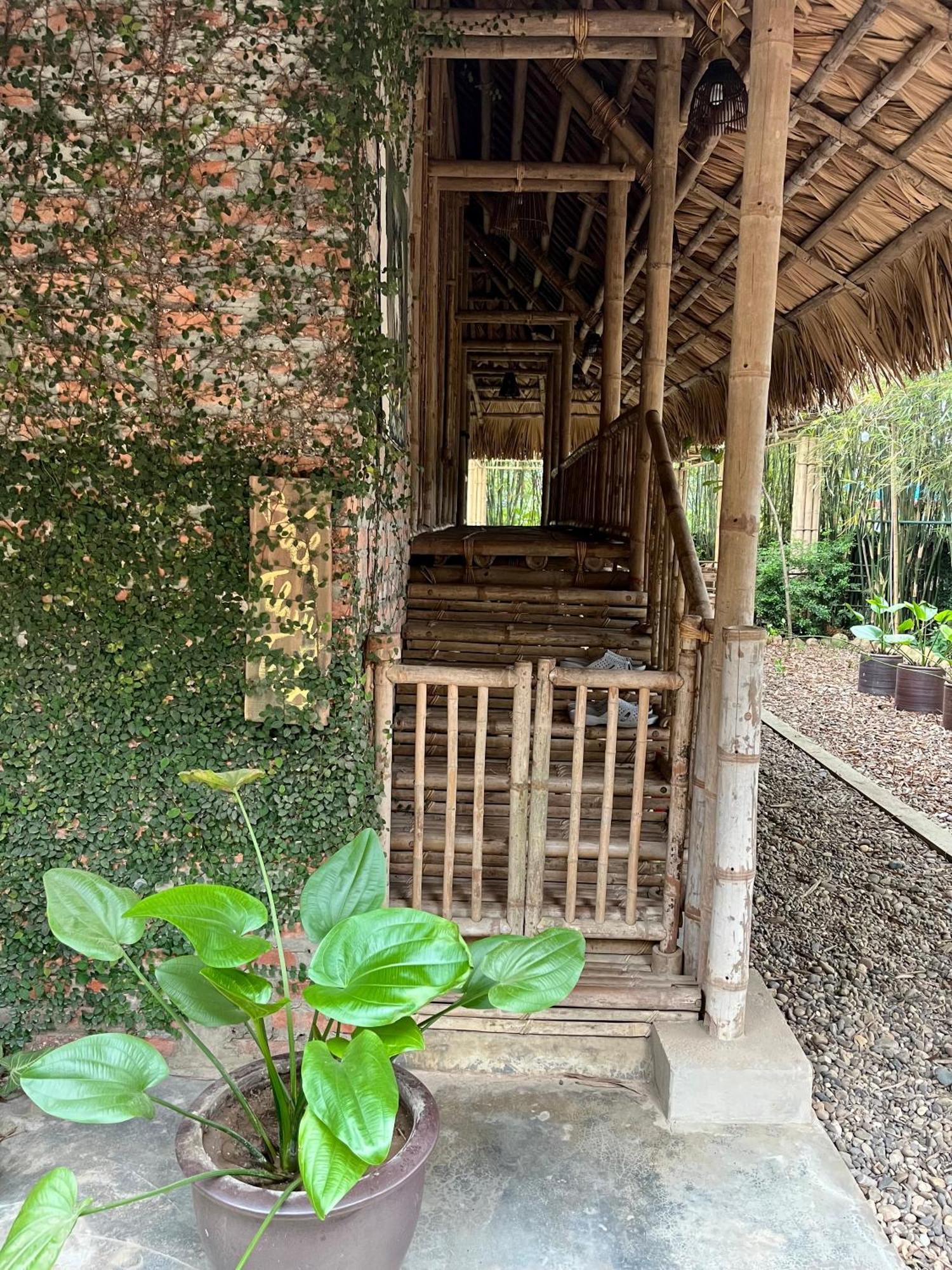 Dinh Gia Trang - Homestay & Coffee The Ruong Exterior photo